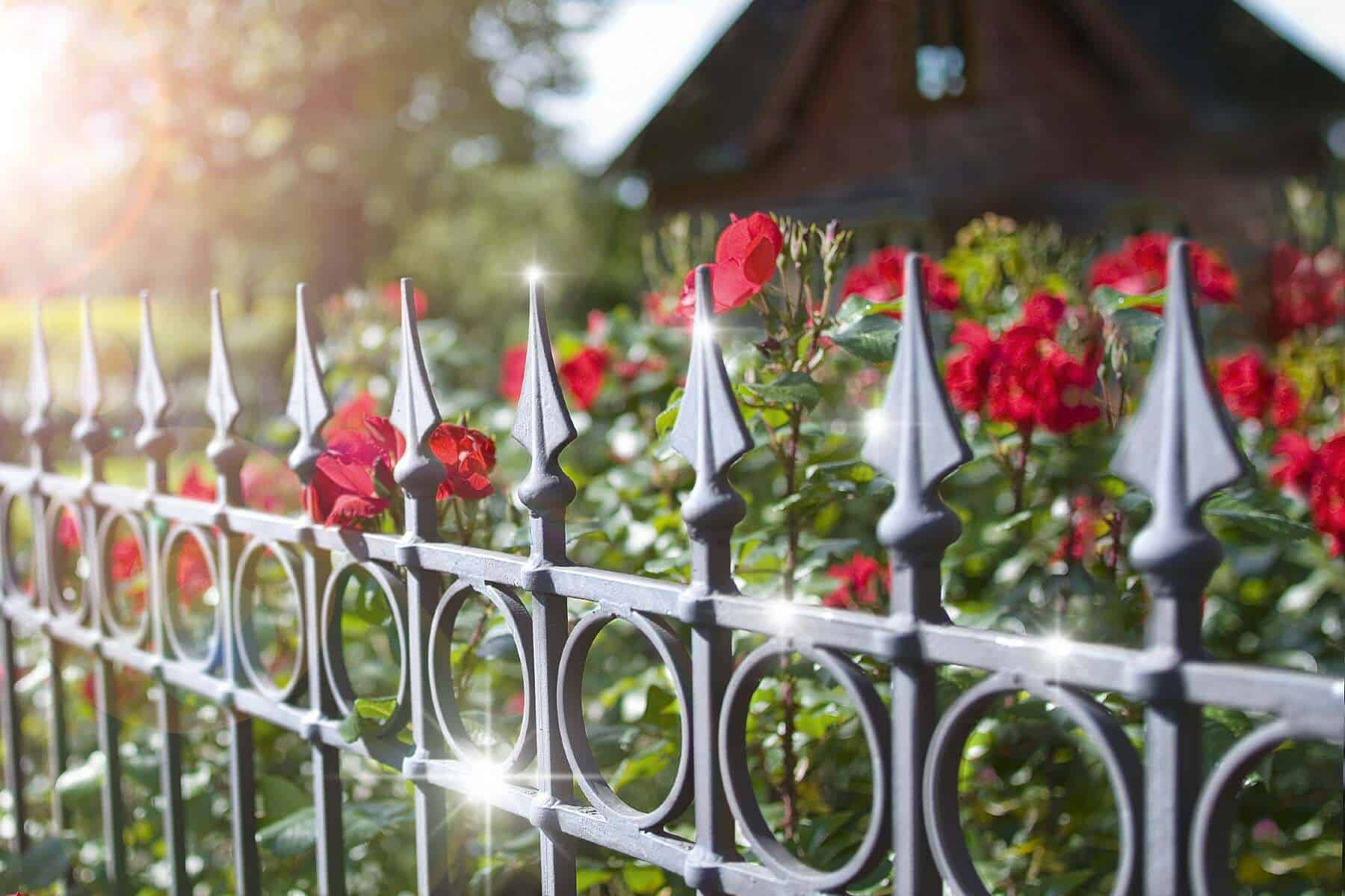 Gartenzaun mit Rosen