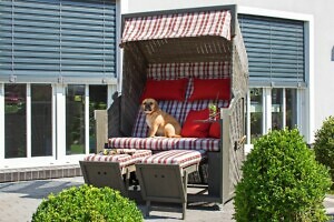 Strandkorb mit Hund auf Terrasse