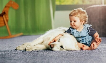 Kleinkind sitzt mit Hund auf Teppich
